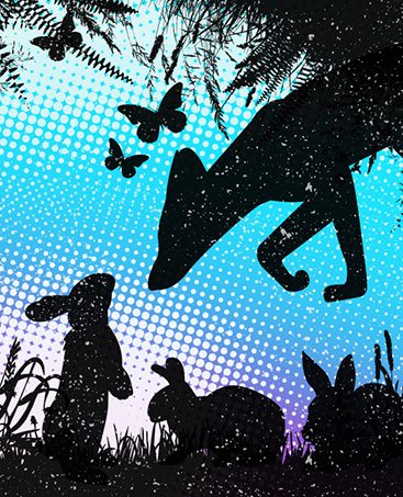 A Story About the Little Rabbits