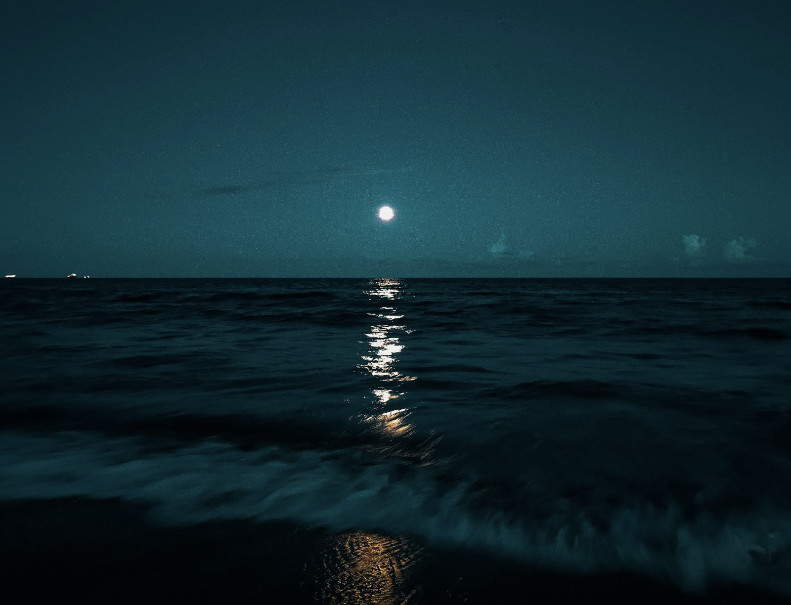 Aquariums Most Wanted