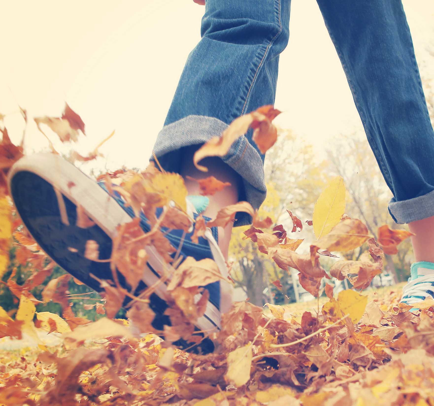 Beit Hakerem Jerusalem 1985