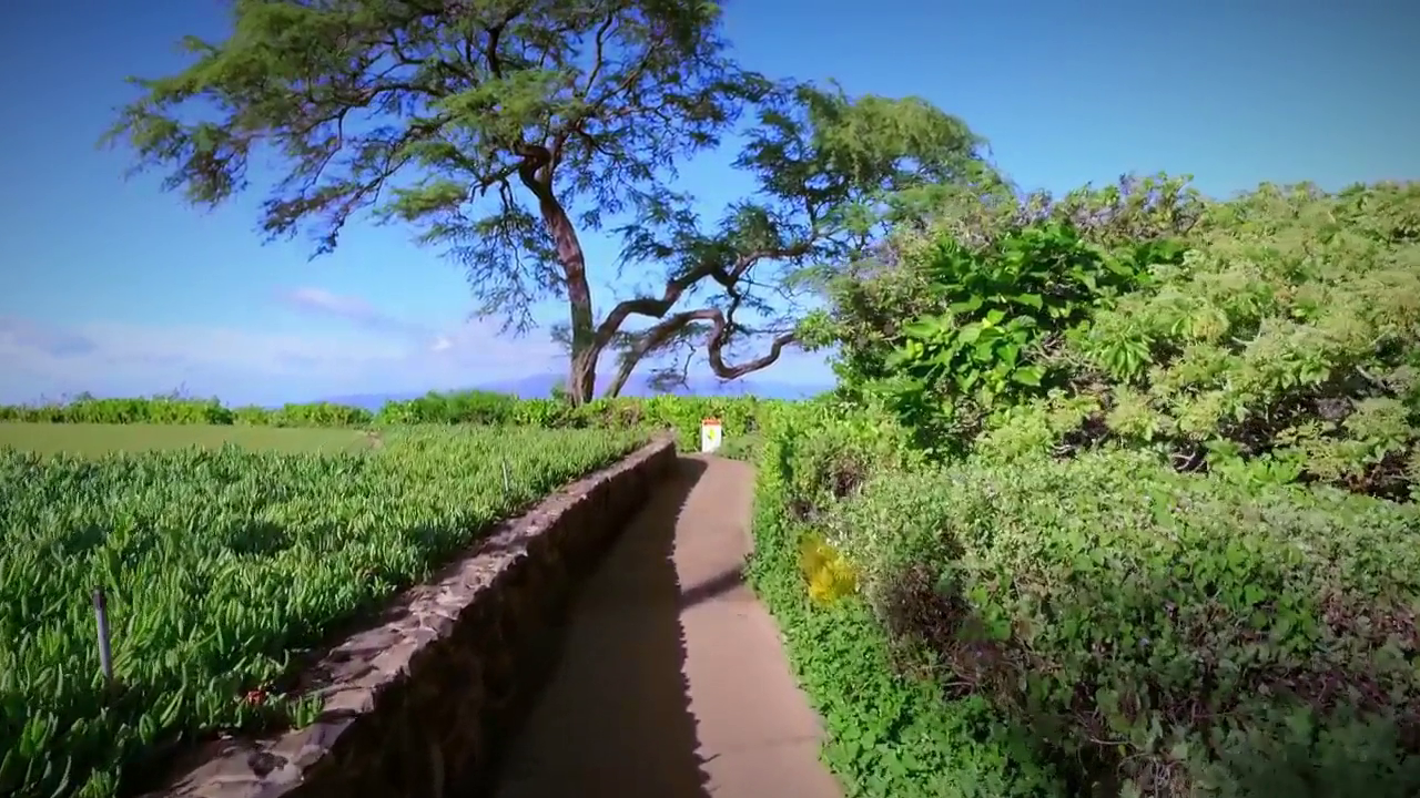 Benjamin and the Walker