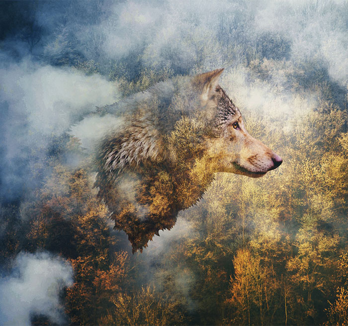 Close to the Body Fifth Place