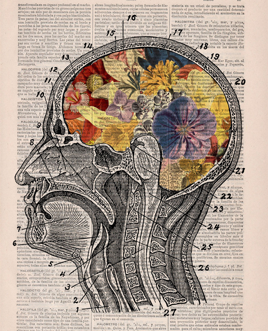 Dr Heideggers Experiment