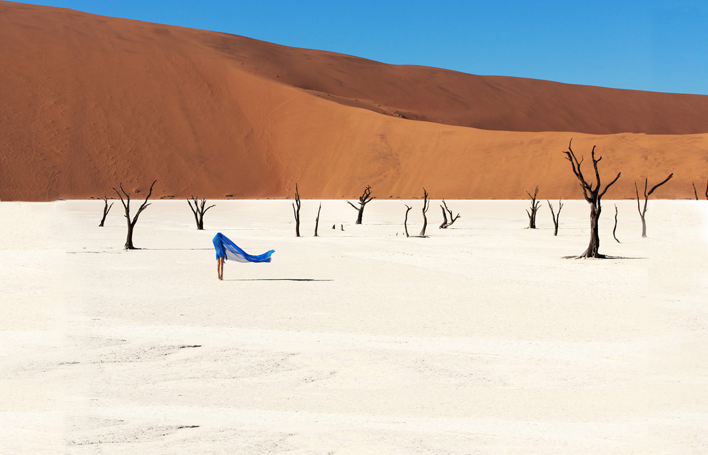 Famous Blue Raincoat