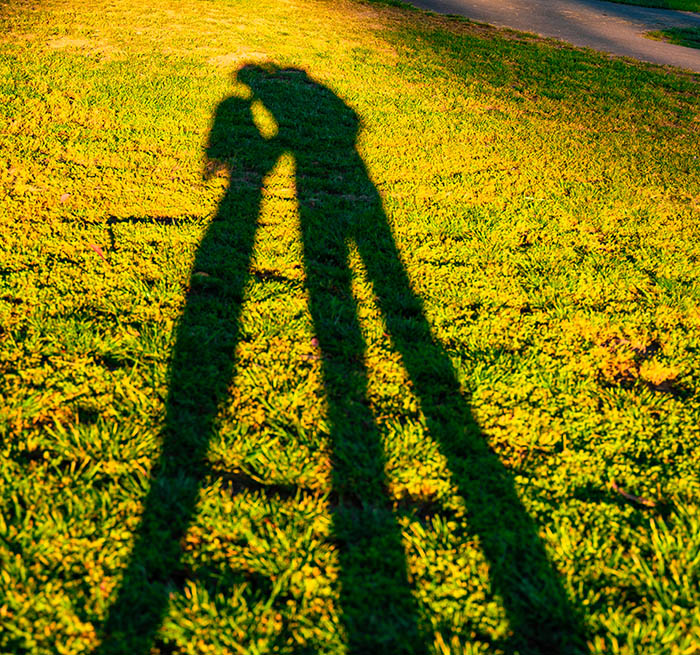 How to Talk to Your Mother Notes