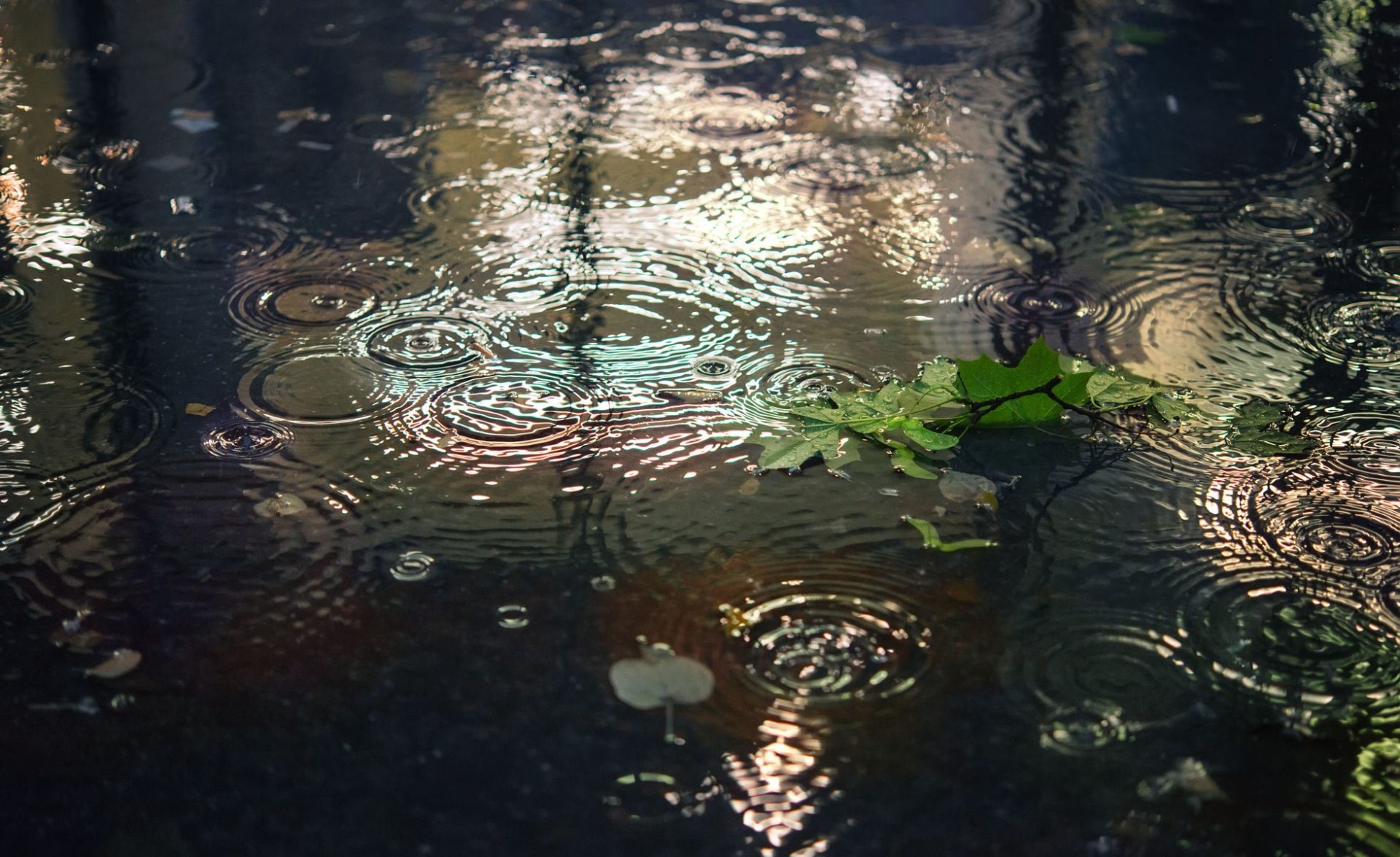 Ksantini the Last Child of the Century