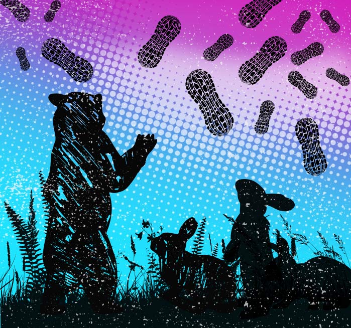 Mr Rabbit and Mr Bear