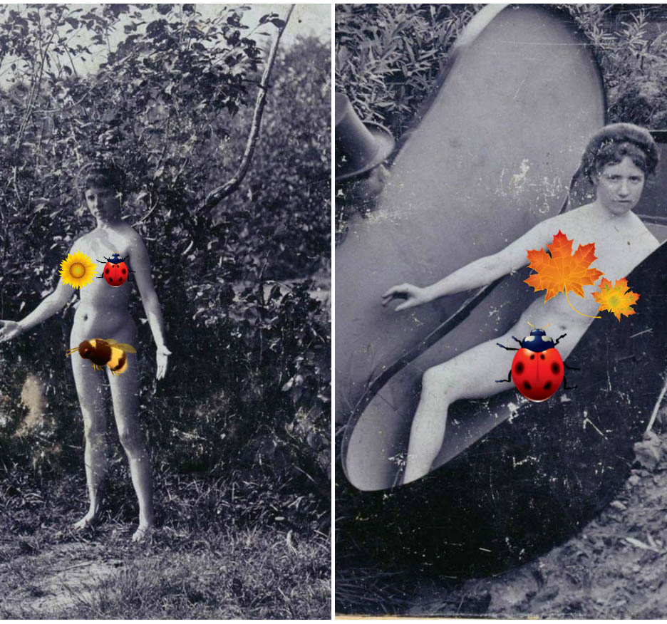 Romance with a Double Bass