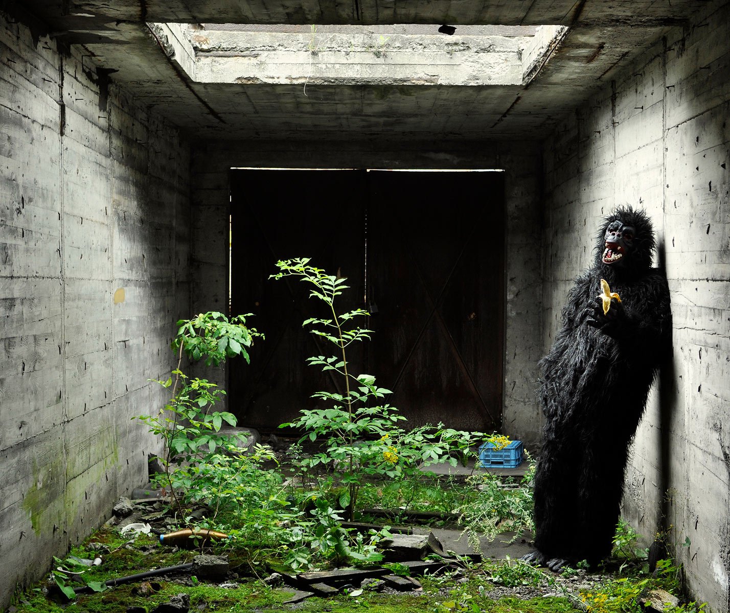 The Origin of Species