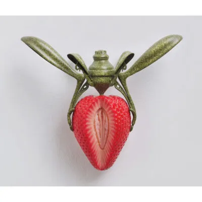 The Secret Life of Insects