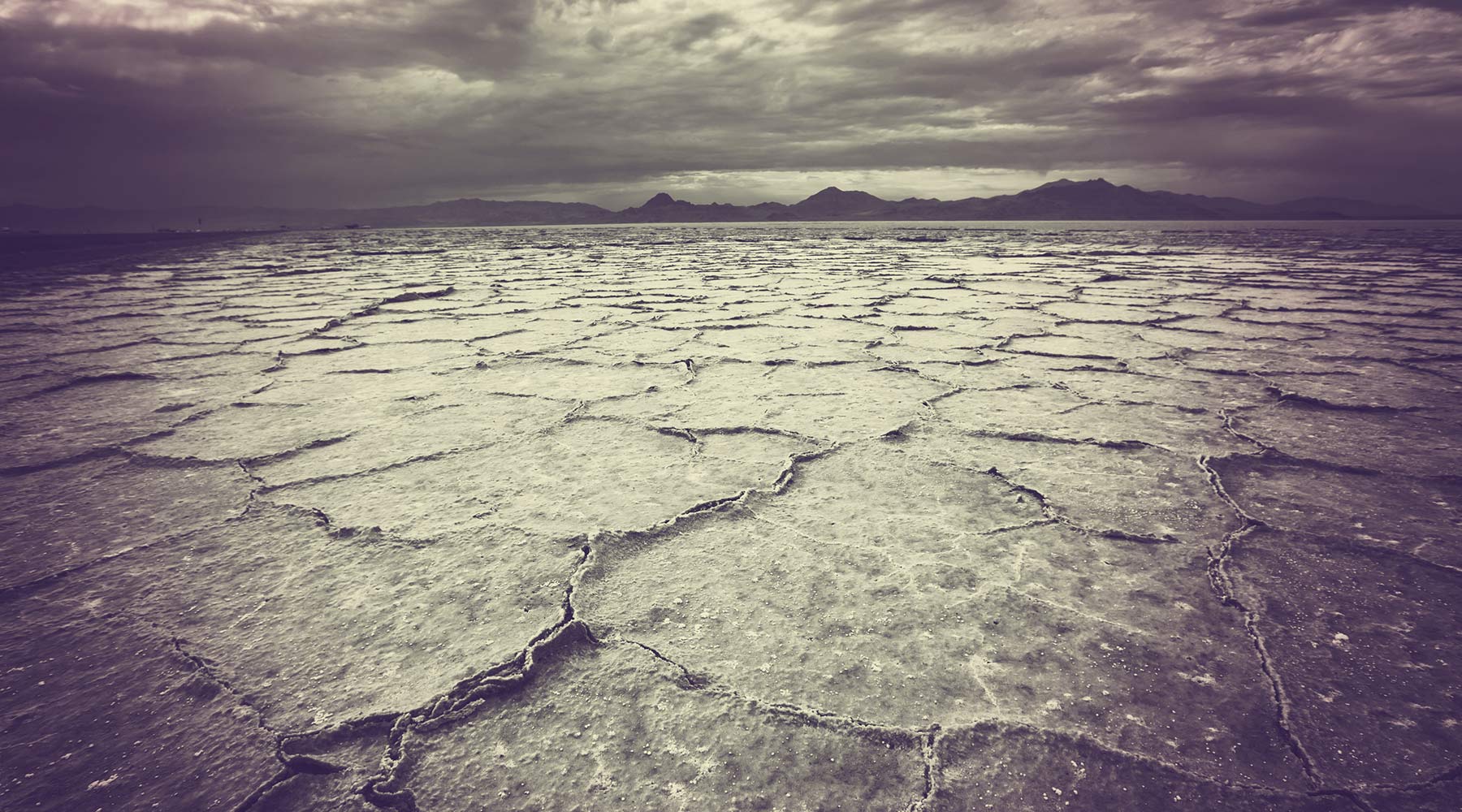 They Have Given Us the Land