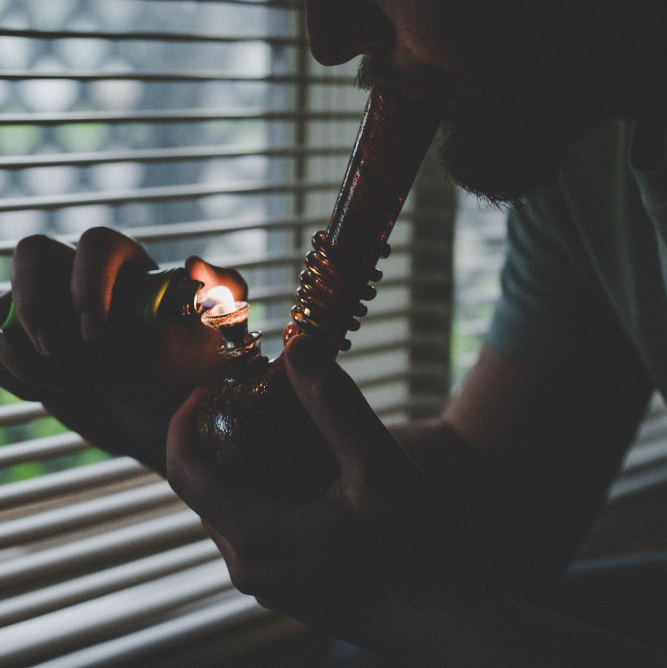 Why Are We Going Back to Watan